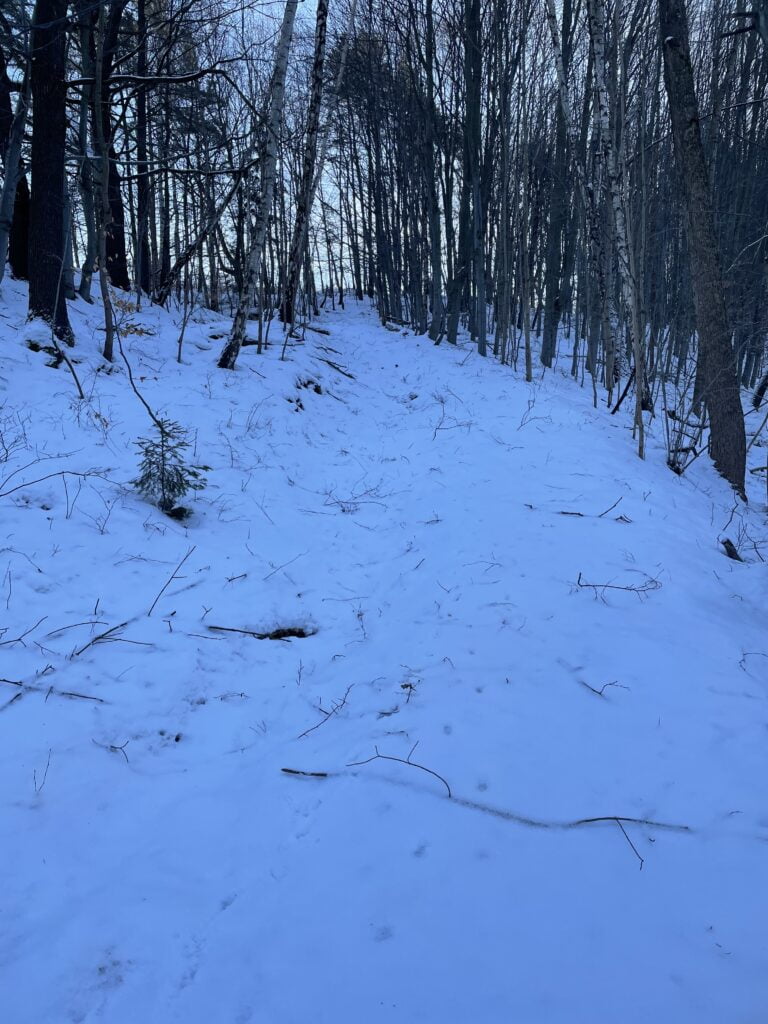 IMG 3459