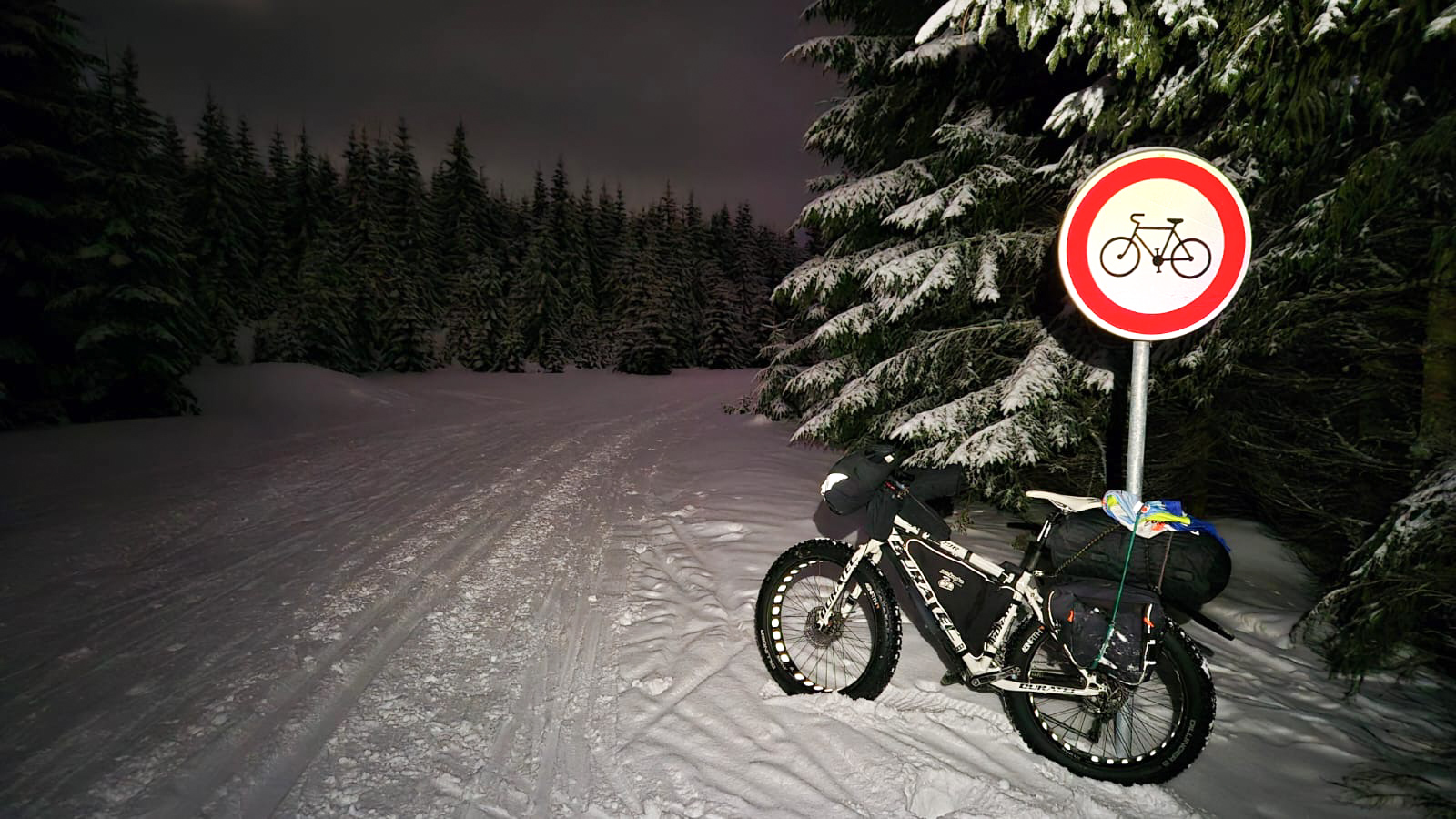 PHOTO 156 756110fd d541 4142 b911 2c0dd81b9d56