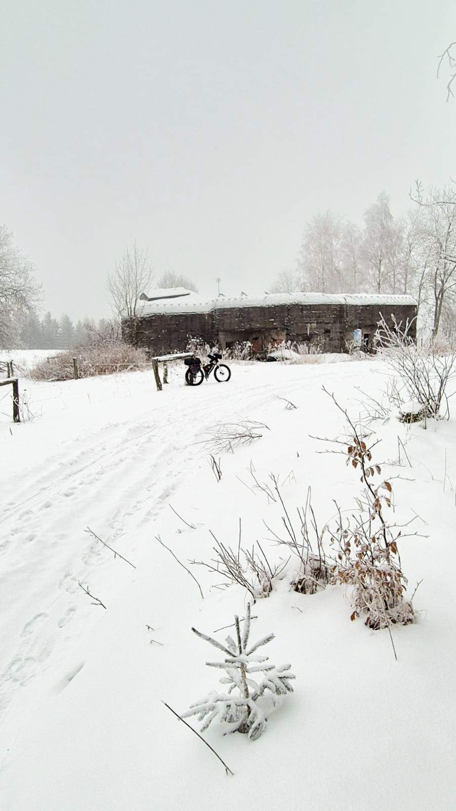 PHOTO 154 ddfbb81d 9e75 4263 9cc9 77ec24a3d0ac