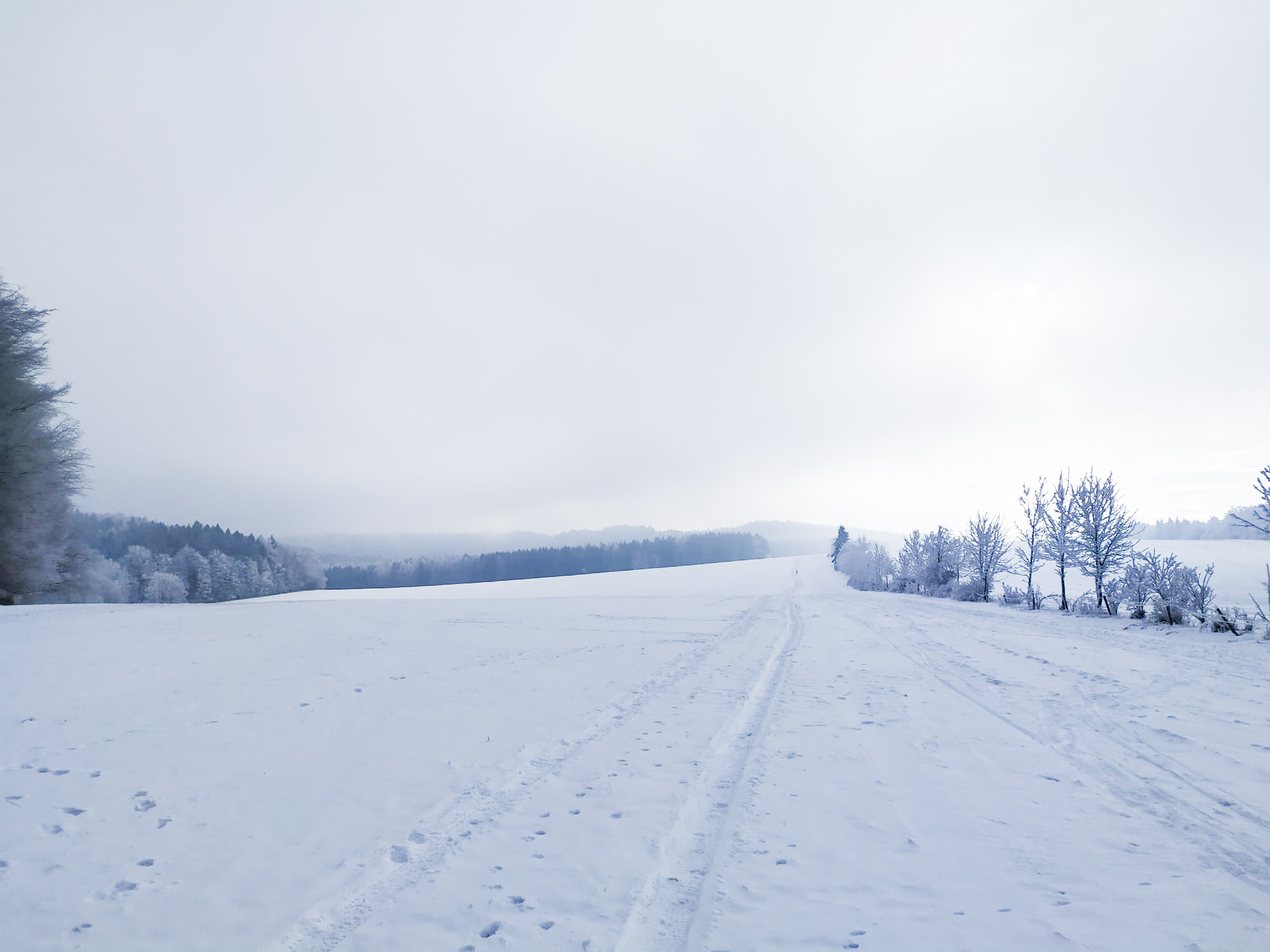 Den 7 1 13020518 017c 44d9 b3b4 0f91e0e4dde5