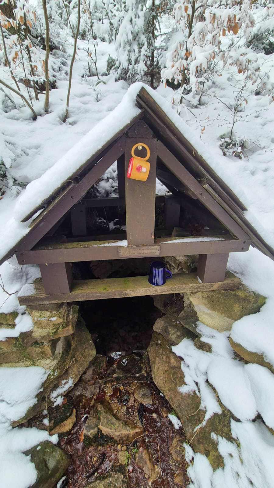 PHOTO 29 1ce16dbb a370 4148 ba04 4d56b050f525