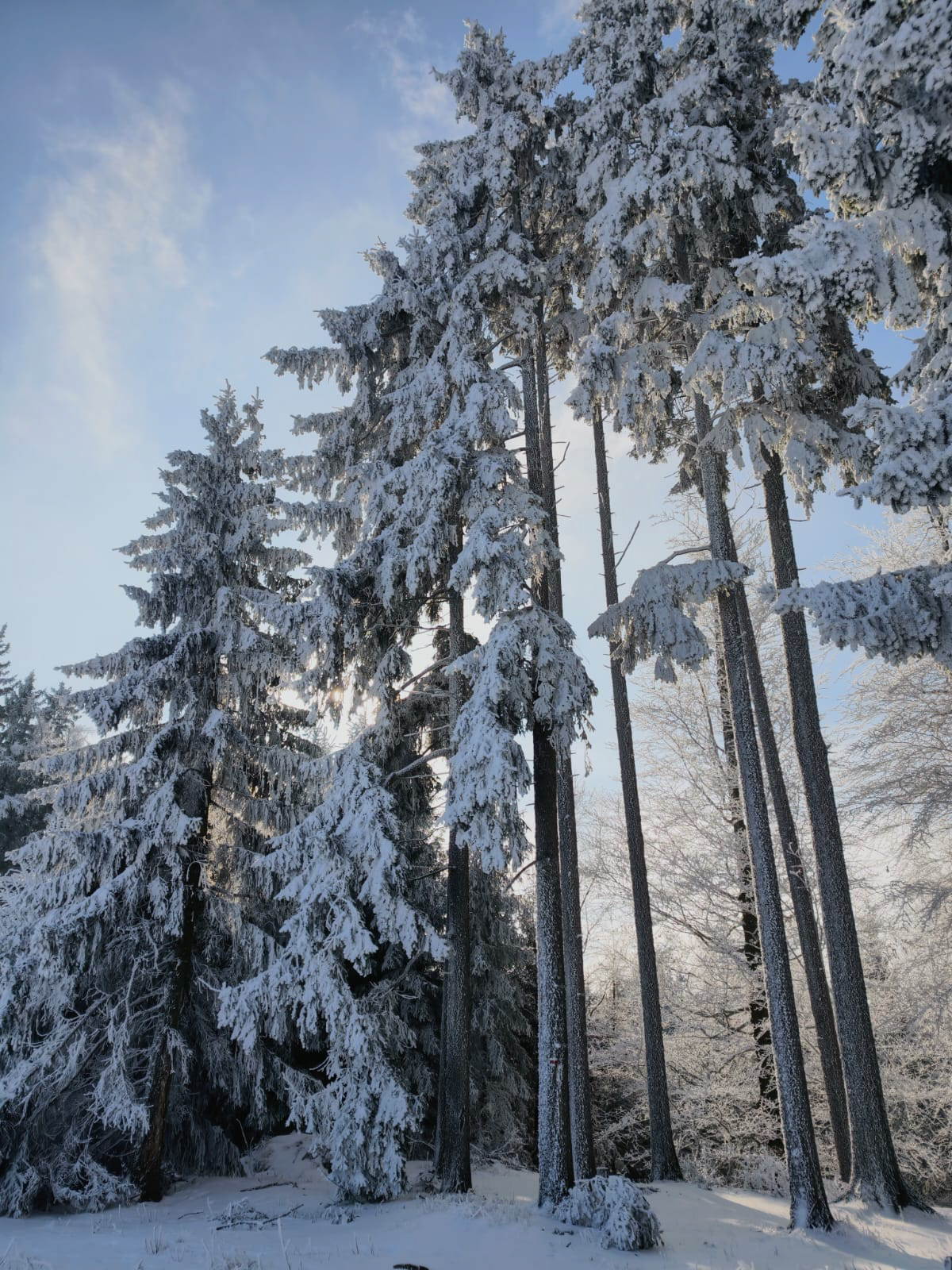 21fe81fe ab2d 4c85 86a7 adf4661f0ddf