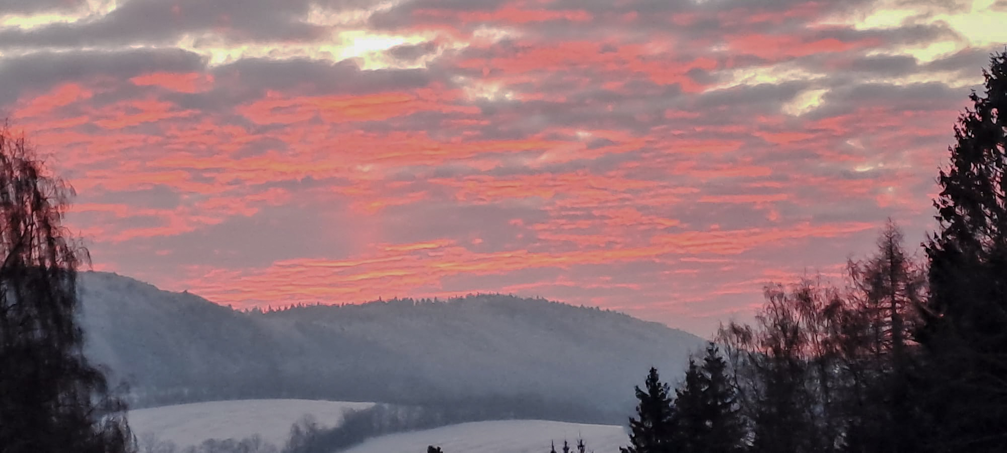 PHOTO 126 3eebc322 a735 44c9 a7c3 ebebce194c28