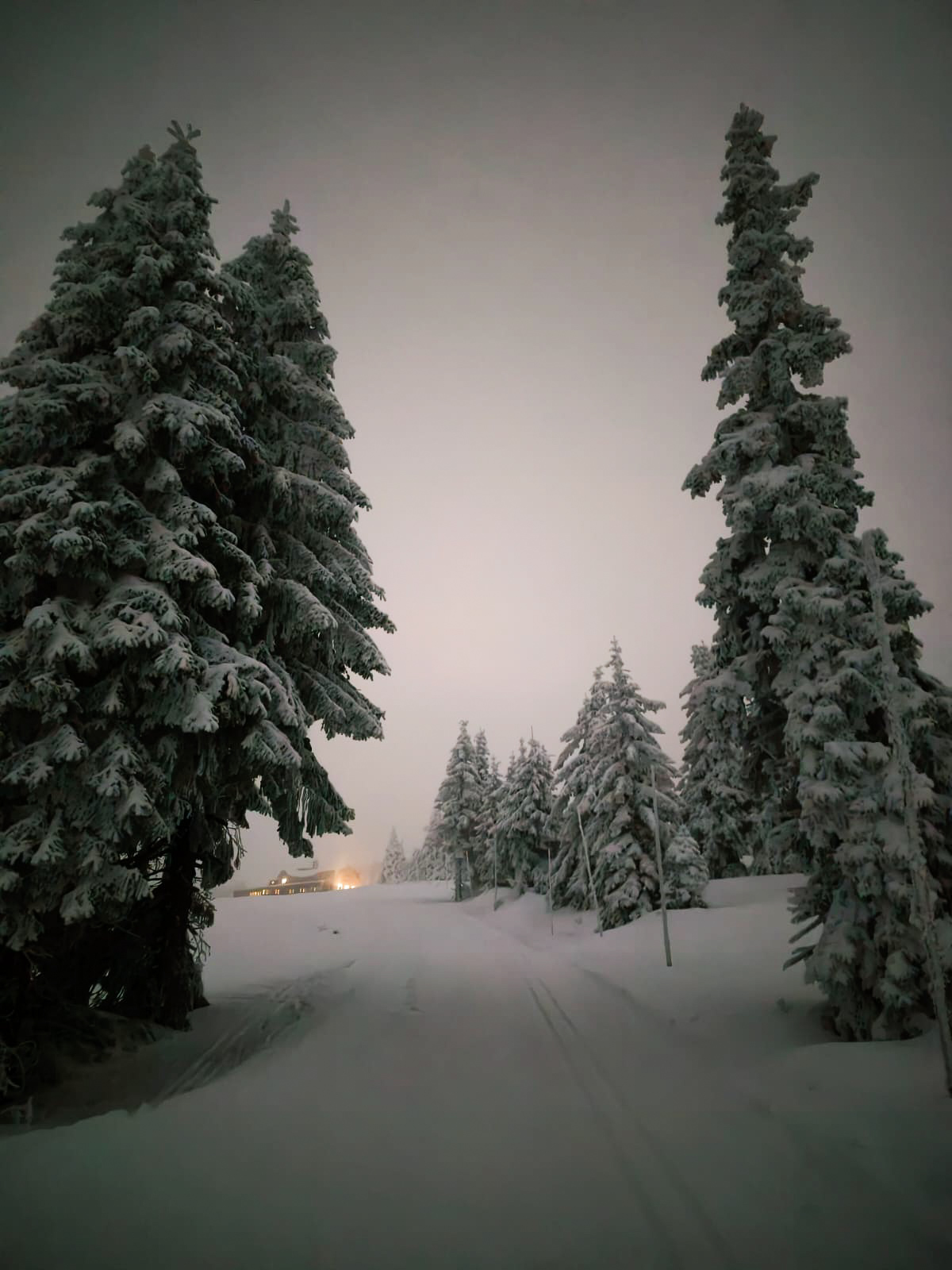 4c0f8b0b 46df 4f4c b44e e46a1b9f6bf5