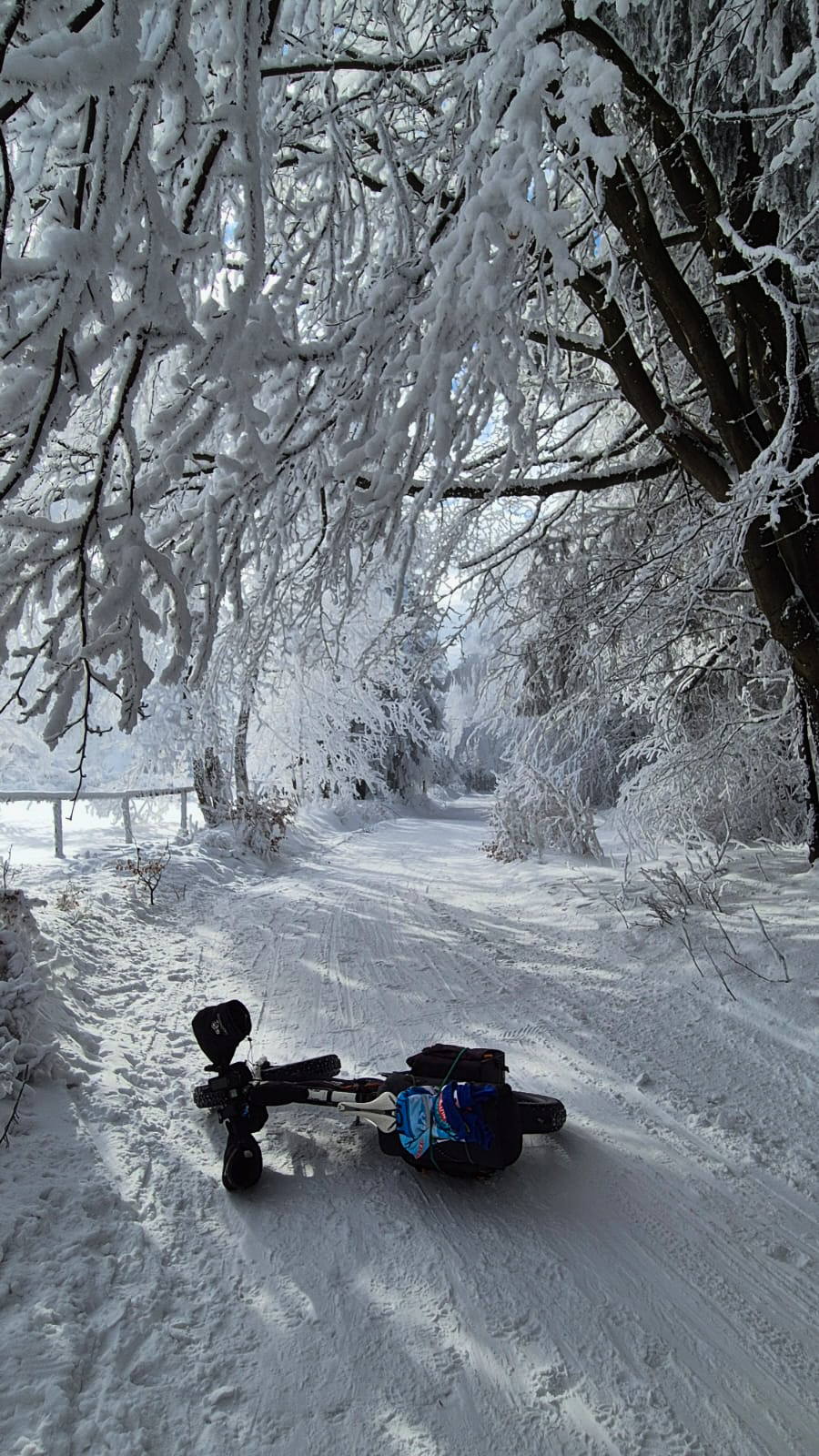 PHOTO 120 5767470d 1aeb 4be2 b890 01baff5d9f1c