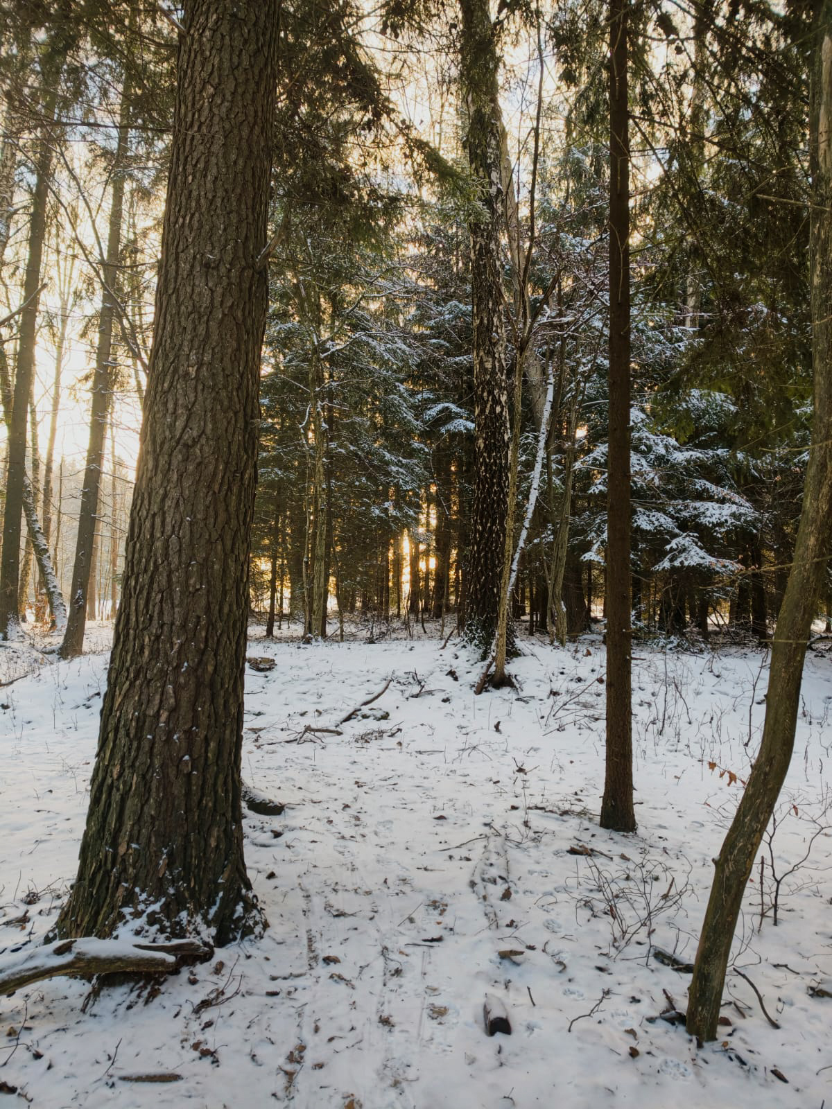 PHOTO 99 7a48143d e8f8 4118 b050 5dab3b7d7c43