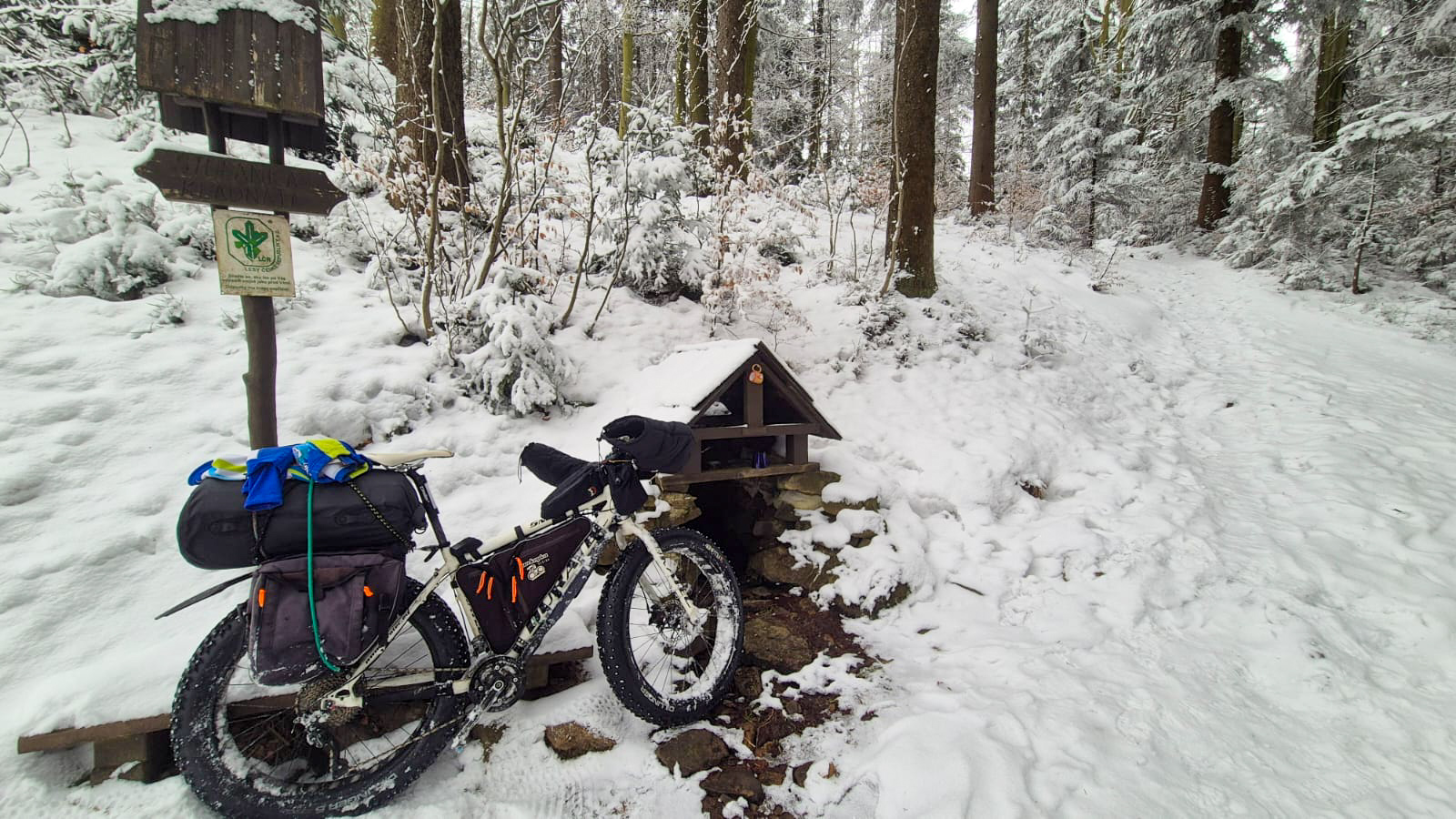 PHOTO 24 86ce580b 3ada 4ef8 b63a b353fb453403