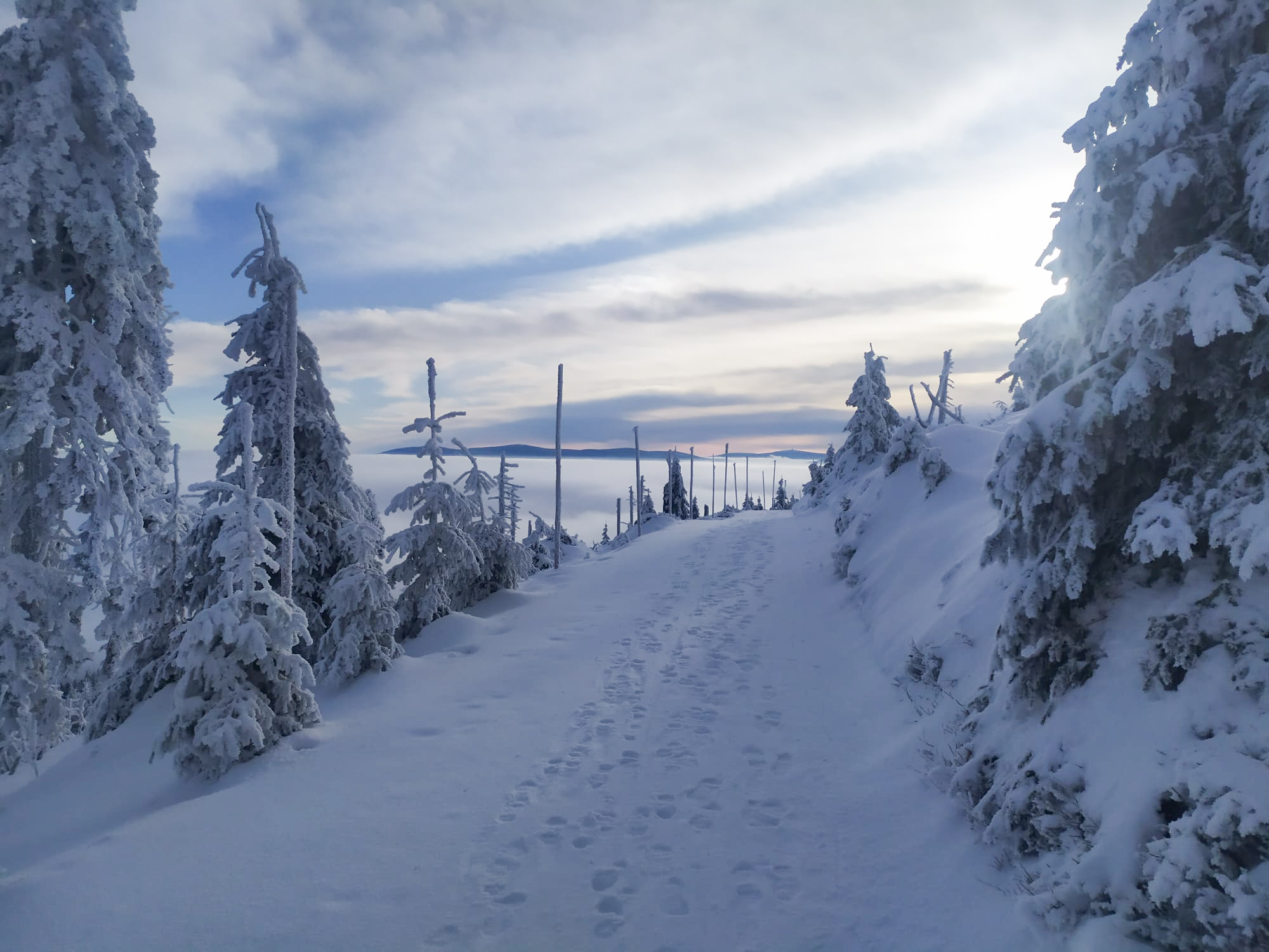 PHOTO 41 993a0ebb 564a 43c8 9590 57354c2e47a8