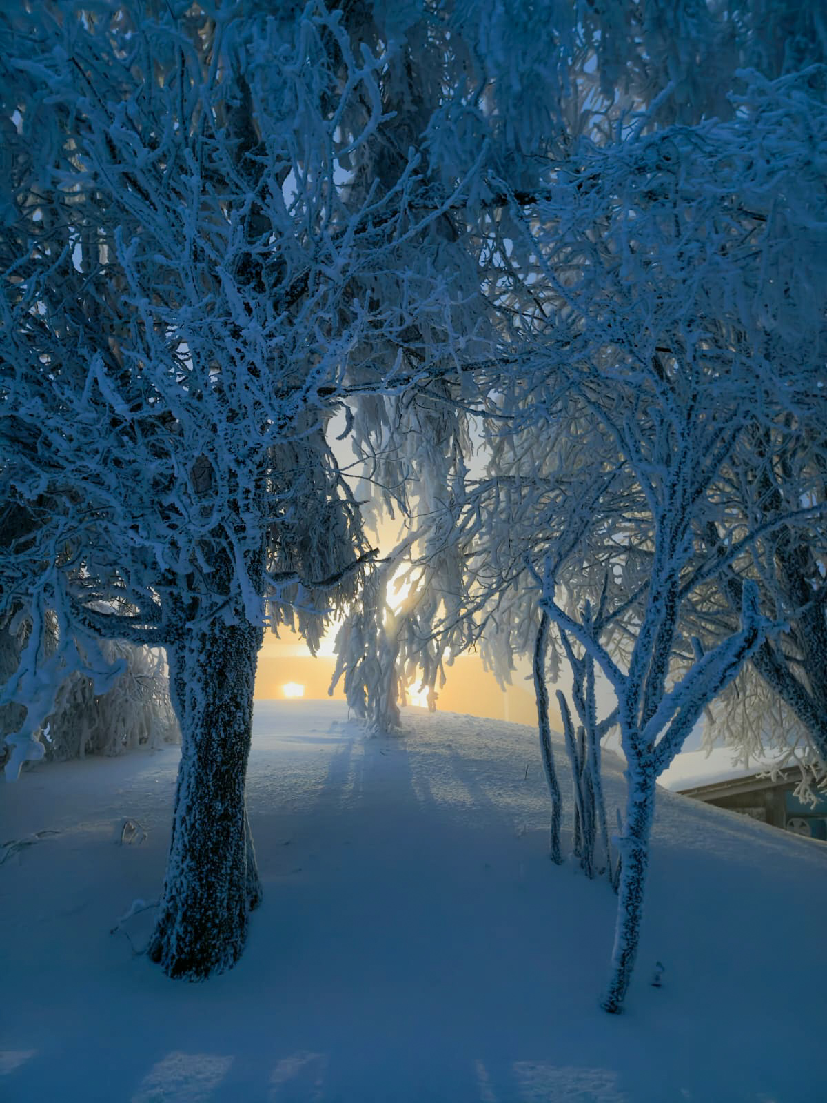 PHOTO 87 a0f651ea 2754 4f7e 94ef 9f89e256e50d 1