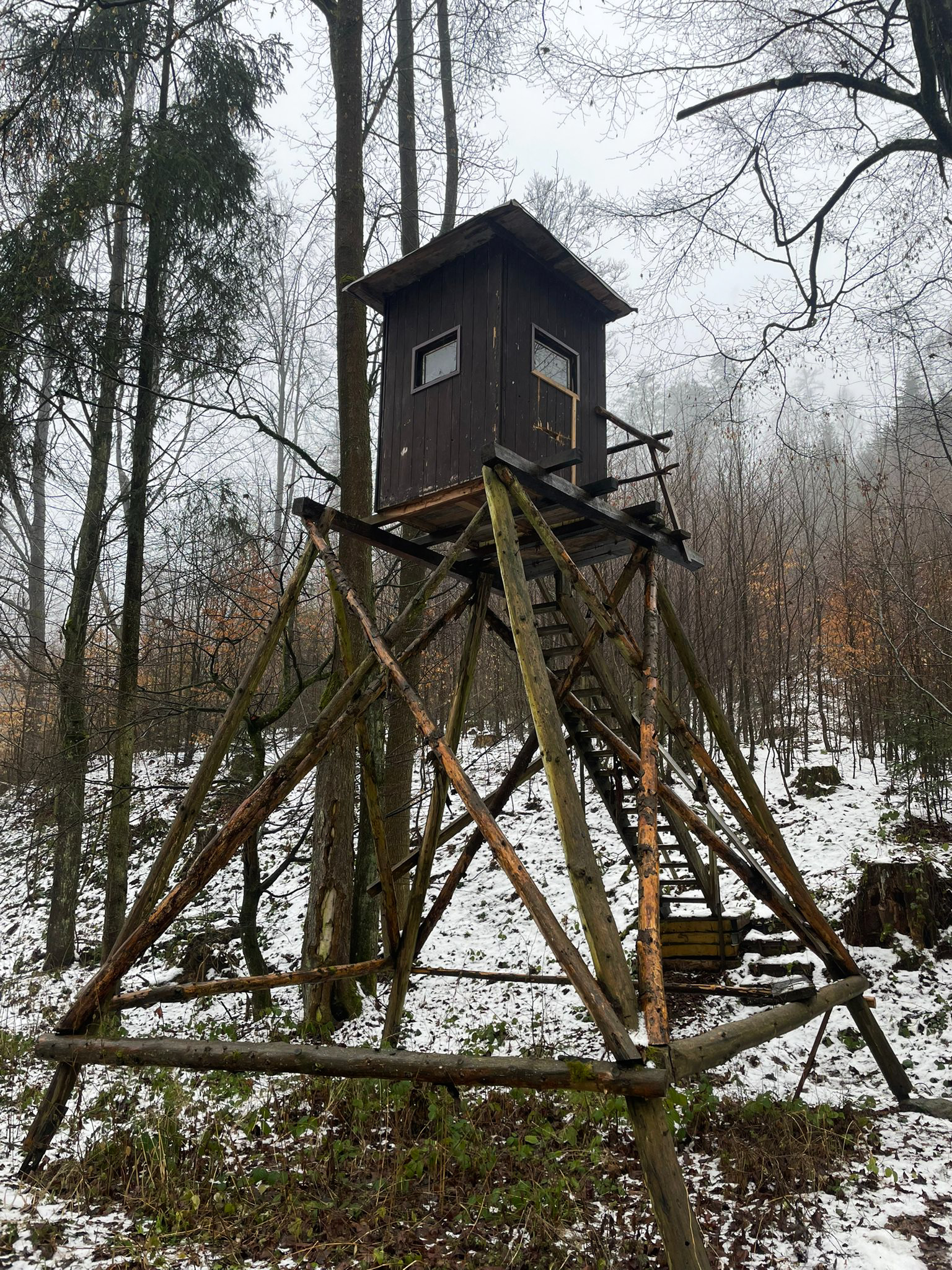 PHOTO 11 a7c2c11f d80d 4f40 8a3f a75e6d1ddf33