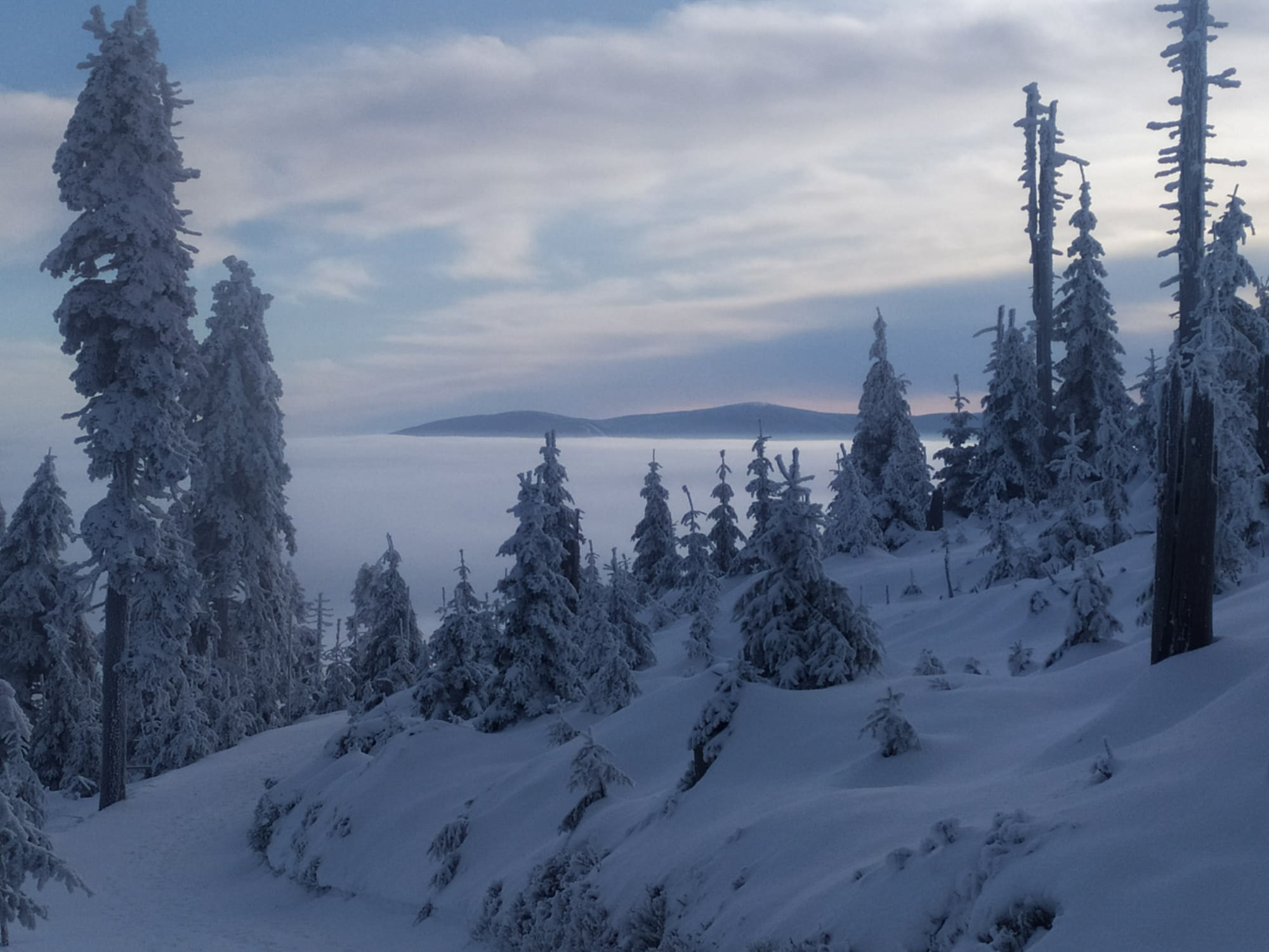 PHOTO 37 a8c766d4 a776 4dd3 86ef 4e4bd51b240f