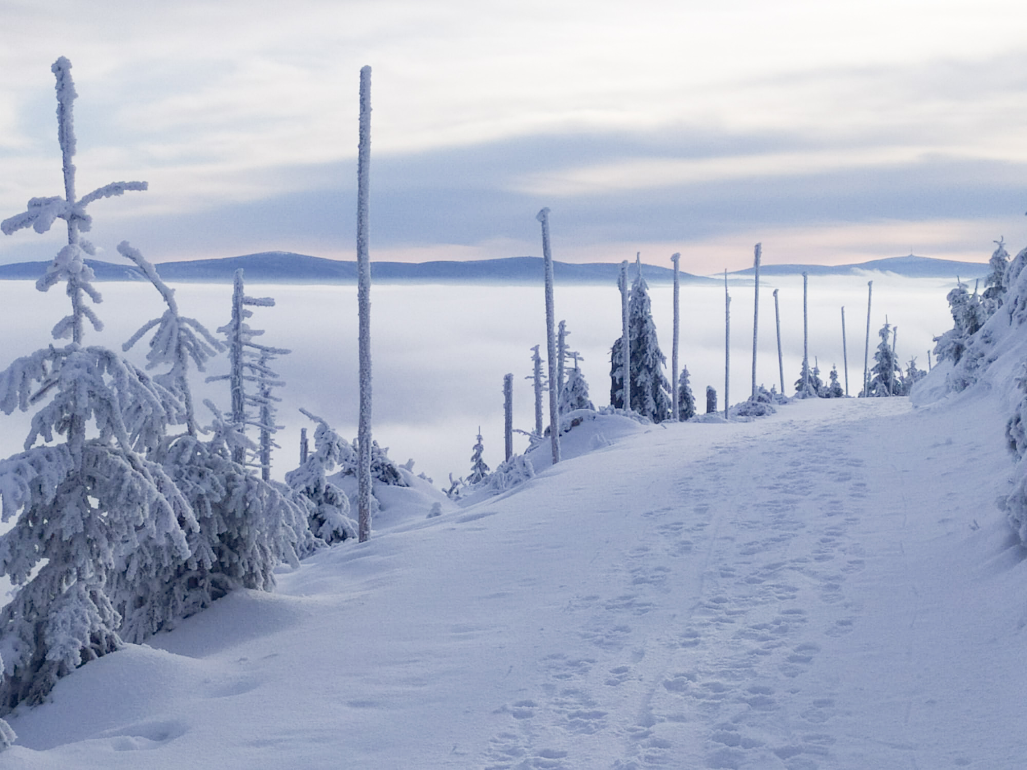 Den 6 2 ac32019f 599b 4dad a905 745d99bafc33