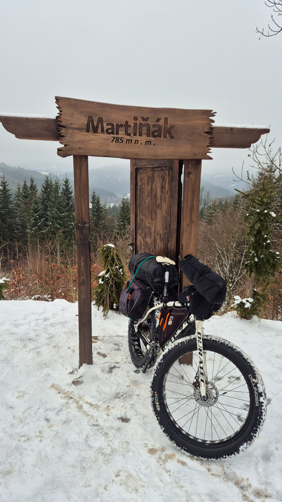 PHOTO 25 e395e639 2943 41f9 8080 4056940fb259