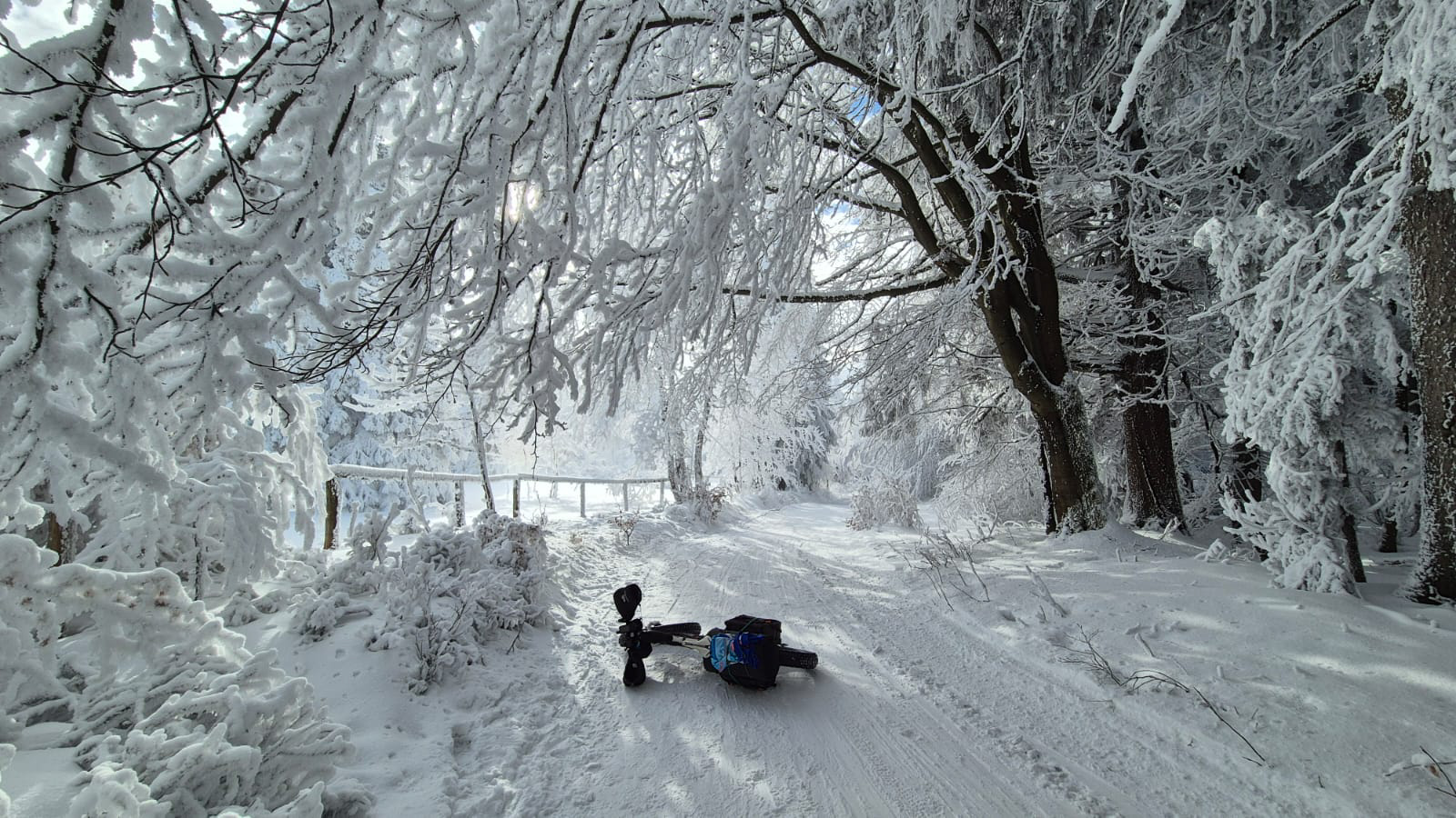 PHOTO 118 e90e1b34 3ec4 4929 820a 8c6dfa359f00