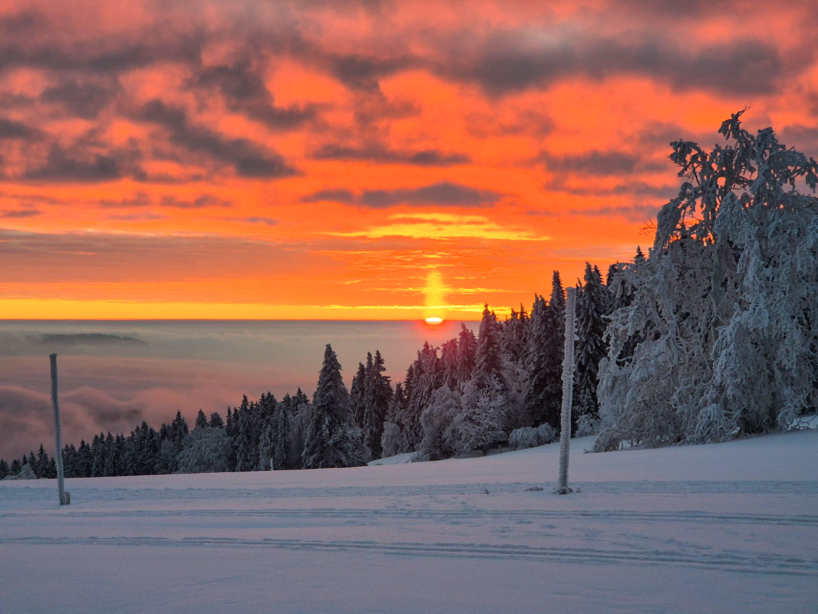 PHOTO 117 f0c2642b e75e 4642 b04b 8f9e2207a8e8